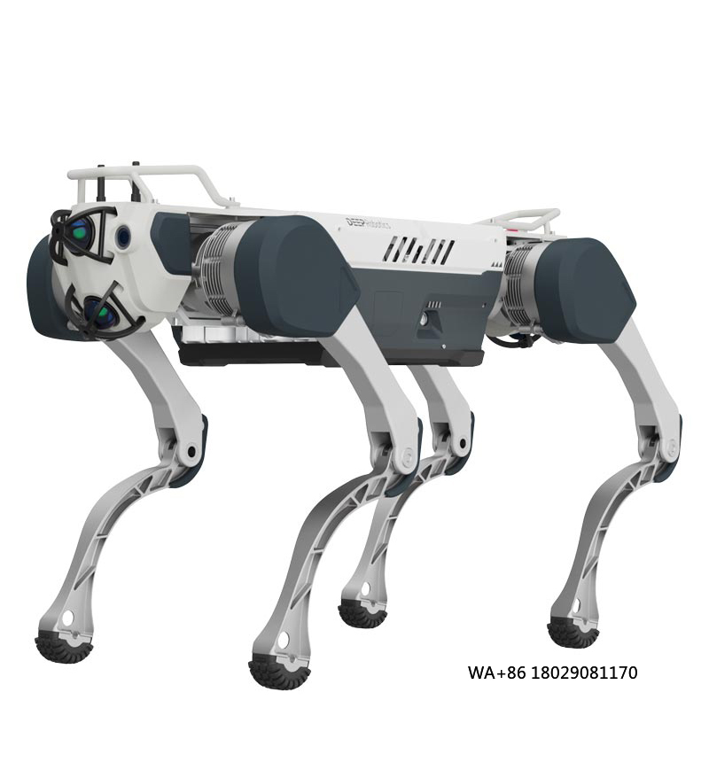 Achieving Artificial Intellige - огляд і ціна Robot Remote Control