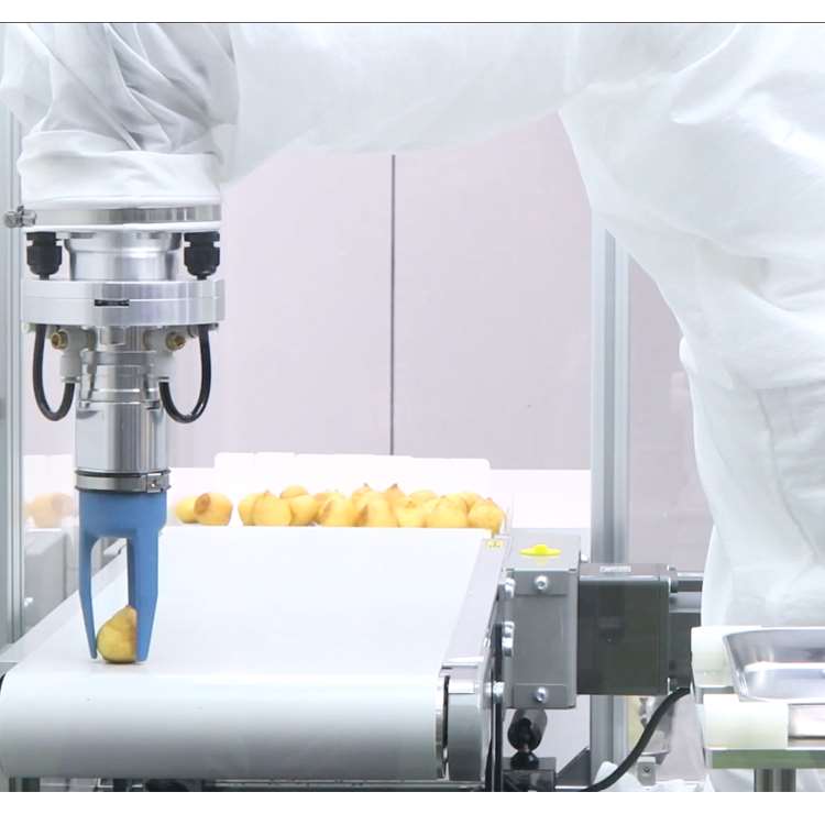 6-Axis CNC Robotic Arm with Li - огляд і ціна Robot Gripper